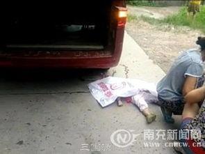 南充南部县新闻爆料事件,真相追踪与舆论反响